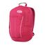 MOCHILA-HARVARD