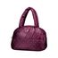 Bolso-Diluce